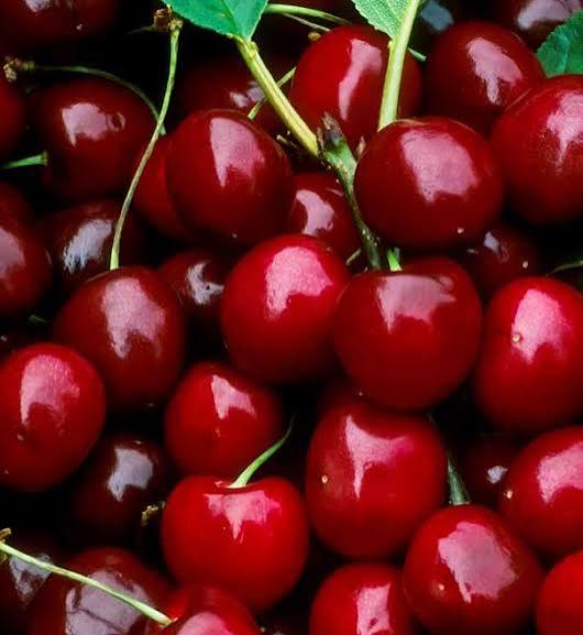 Amarene mature e lucide